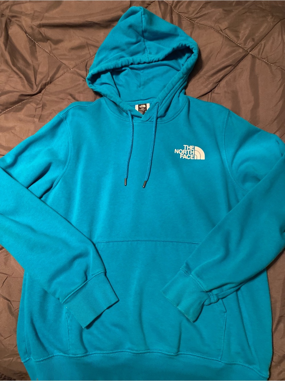 The North Face Men’s Teal Blue Pullover Hoodie